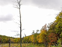 Fall '05 - 7